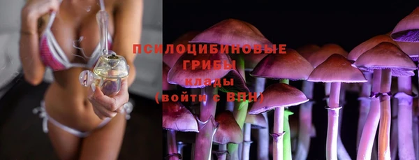каннабис Каменногорск