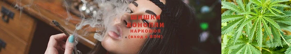 спиды Каменск-Шахтинский