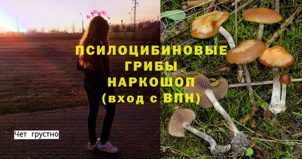 спиды Каменск-Шахтинский