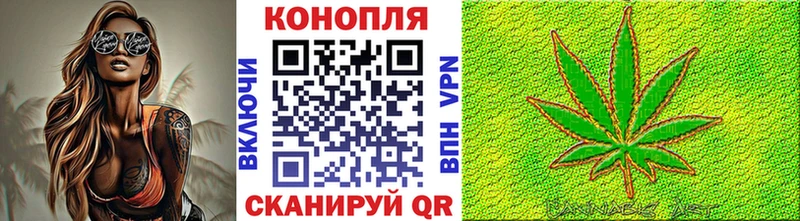 Купить закладки  Козловка  Бошки Шишки тримм 